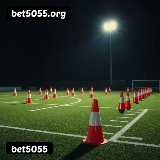 Principais provedores de slots da bet5055 - NetEnt, Pragmatic Play, Play'n GO